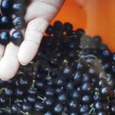 강산자연농장 이미지