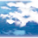 하늘빛바다 이미지