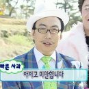 쿠촐로 테라짜 이미지