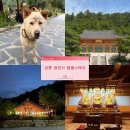 스테이빈 | 강릉 용연사 템플스테이 체험형 솔직후기 (feat. 준비물, 예약, 가는법)