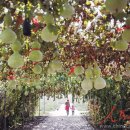 창지농장 이미지