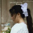 스크런치 | 슬릭(Sleek) 퓨어 스크런치 후기