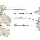 일심한의원 이미지