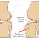 리더스동물병원 이미지