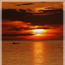 비 개인 후 이미지