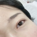 씨유 금학로점 | 용인 역북동 속눈썹펌 웨이브로우 솔직후기