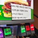 동대문 서브웨이에서 30cm 도전?! 폴드 포크 바베큐 &amp; 웨지감자 세트 후기!
