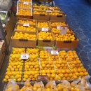 중동청과 이미지