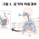 소아랑한의원 이미지