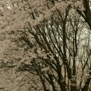 여주고등학교 이미지