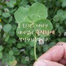 구피염색방 - 천안시 동남구 충절로 848 | 아산 모종동, 염색방 "구피샵" 다녀온 후기