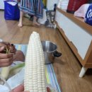 도영농장 이미지