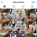 또리네 Petsalon 이미지