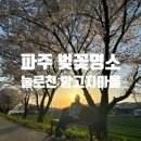 구미보건진료소 | [파주] 눌로천 벚꽃길 파주 벚꽃 명소 밤고지마을