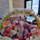 권세목장 이미지