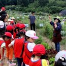 강남-190 이미지