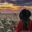 관광단지주차장 1화장실 이미지