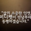 미니펫샵 - 강남구 언주로79길 5 | 미니펫샵