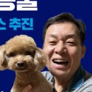 장례문화지원센타 이미지