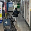 덕양폴리어학원