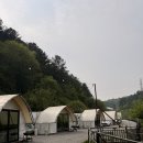 가평네잎클로버카라반글램핑 | 가평 네잎클로버 카라반 글램핑 애견 동반 어린이날 연휴 가족여행