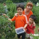 박철수농장 이미지