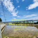 늘봄부동산중개 이미지