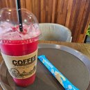 비어카페(펀비어킹) | 연평도 여행 필수코스! 펀비어킹 인천 연평도점 후기 카페 ABC주스