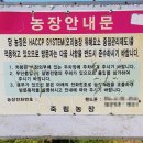 죽림농장 이미지