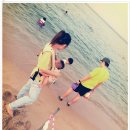 봉포 산들바람 이미지