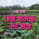 2134 | 서울 연꽃 구경 푸른 수목원 맛집 구로 평상 | 대형 빵 카페 임산부 할인 및 커피 리필 후기