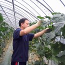 반월농협 이미지