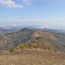 순천만자연드림목장 이미지