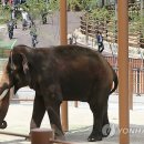 작은동물원 이미지