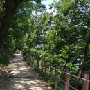 담양호국민관광지 이미지