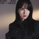 퍼뷸러스 이미지