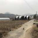 천동리목장 네이버블로그