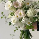 사파동103 이미지