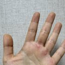 피트파크짐 이미지