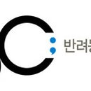 야옹야옹 이미지