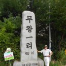 제3회 양평 해바라기 축제 이미지