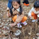 산내들어린이집(7세) 이미지