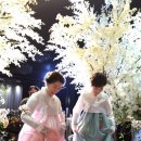 테힐라한복대여맞춤 이미지