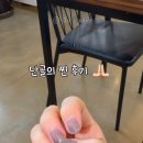 네일콤마 네이버블로그