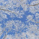 첫눈 내리던날 이미지