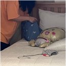 달성길 36 | 일상ㅣ2025.08.23 - 2025.08.24 목포 1박2일 여행 (야무지게 먹고 놀았다)