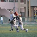 신광초교 이미지