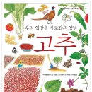 철수와영희