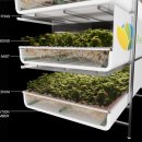 광원농장 이미지