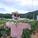 계명대역 이미지